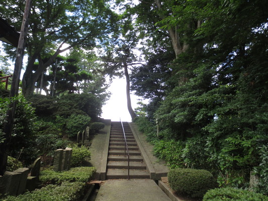 d0055395_2052478.jpg