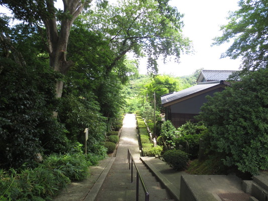 d0055395_20544761.jpg