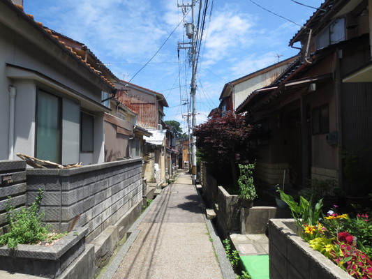 d0055395_2058390.jpg