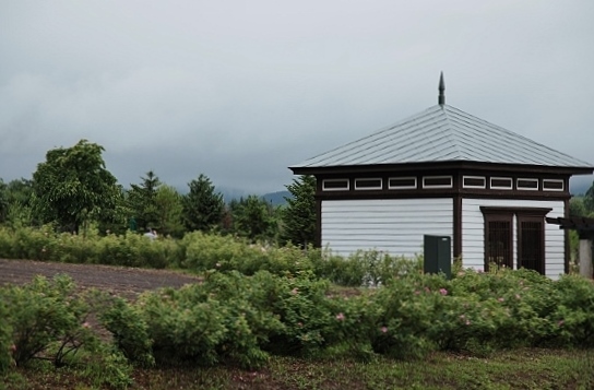 e0209997_12484964.jpg