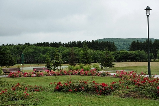 e0209997_12535521.jpg