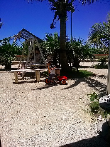 d0141800_4194319.jpg