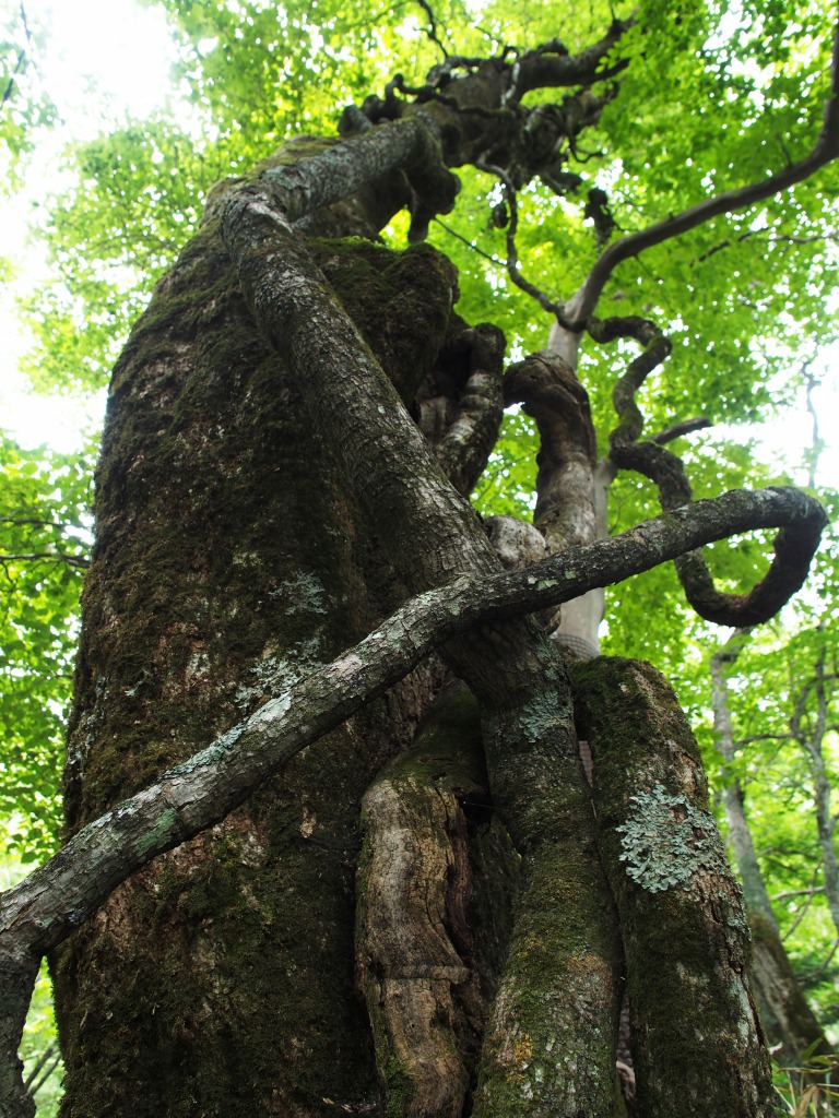 f0224100_21111387.jpg
