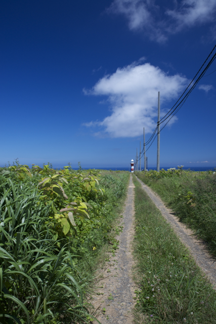 c0153411_22154737.jpg