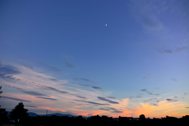 e0217511_21395892.jpg