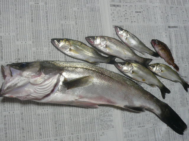 e0026017_22222327.jpg
