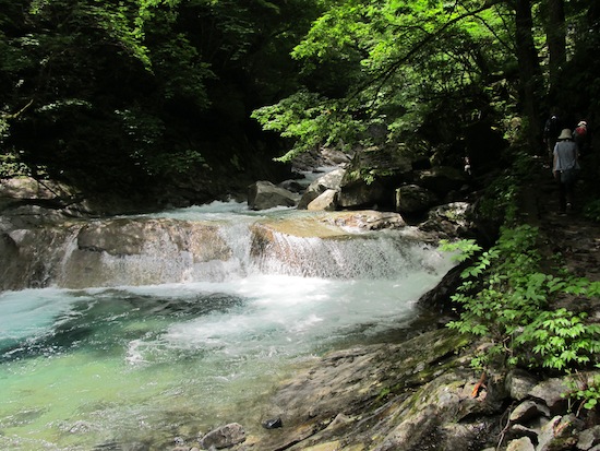 d0100923_11515143.jpg