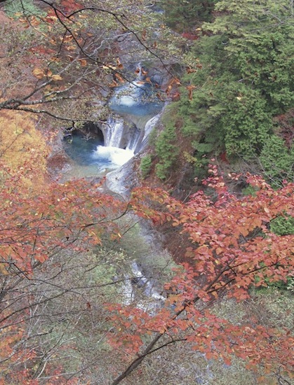 d0100923_11523349.jpg