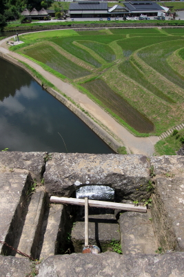 e0133025_9451640.jpg