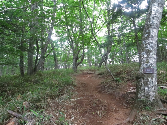 f0040525_20365866.jpg