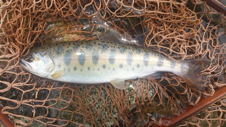 c0133133_1620652.jpg