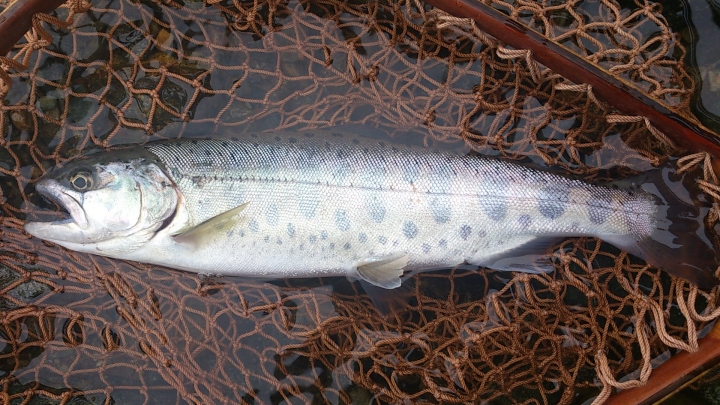 c0133133_1645229.jpg
