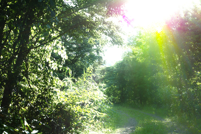 a0049639_1933561.jpg