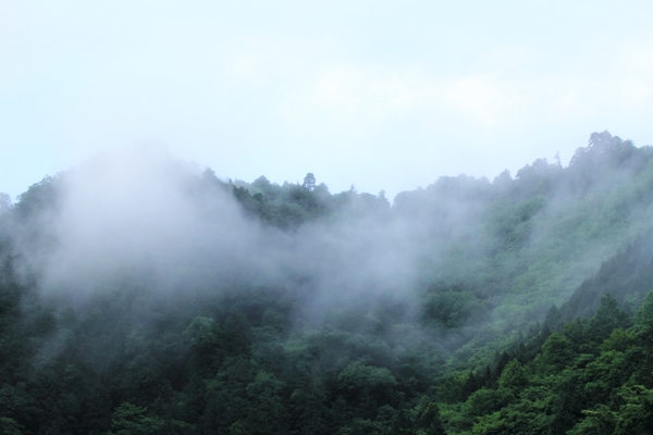 c0228945_14215215.jpg