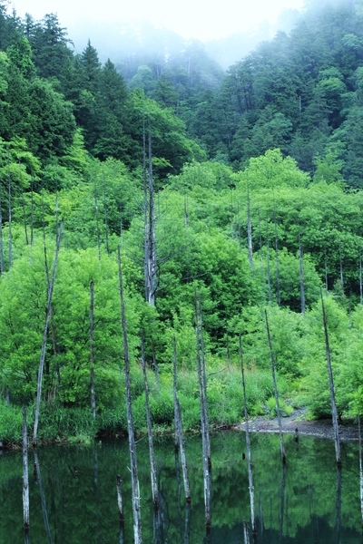 c0228945_14342693.jpg