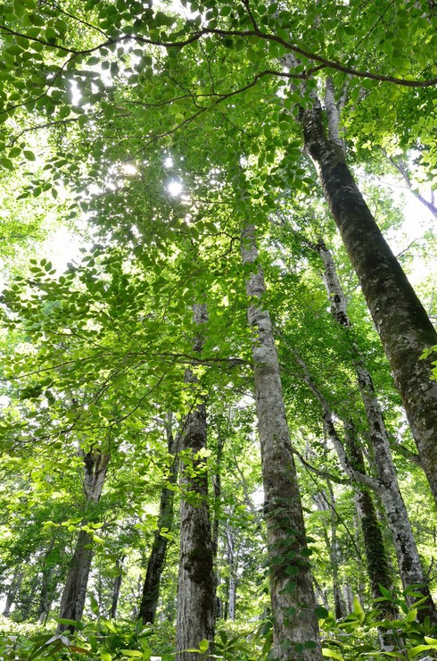 e0305745_0261262.jpg