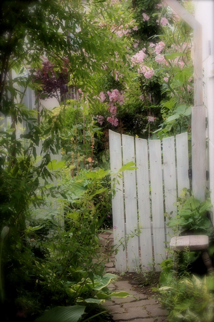 b0168859_952964.jpg