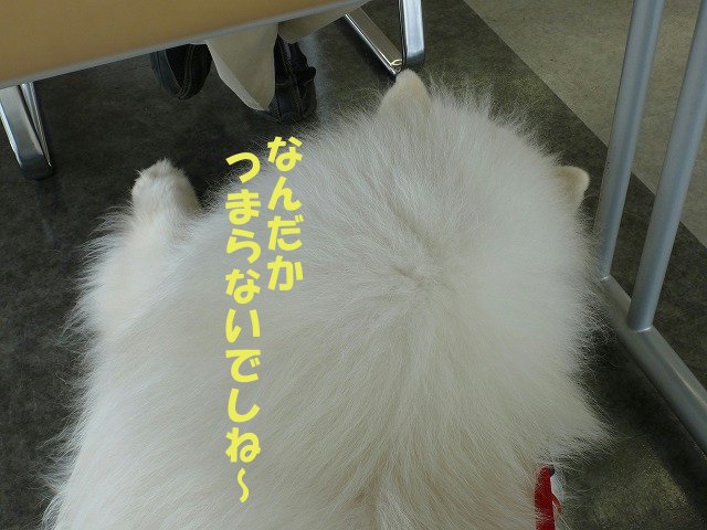 e0176159_1344215.jpg