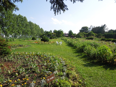 e0088260_11273680.jpg