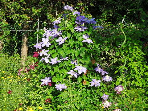 e0088260_11332930.jpg