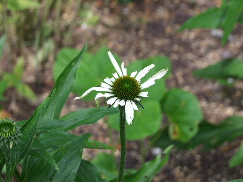e0088260_2223073.jpg
