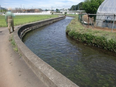 c0112172_116258.jpg