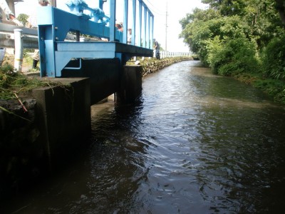 c0112172_116817.jpg