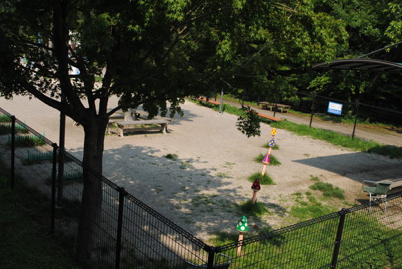 b0242873_0145054.jpg