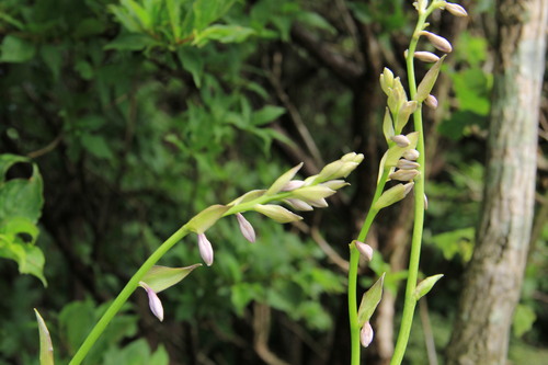 b0286982_119441.jpg