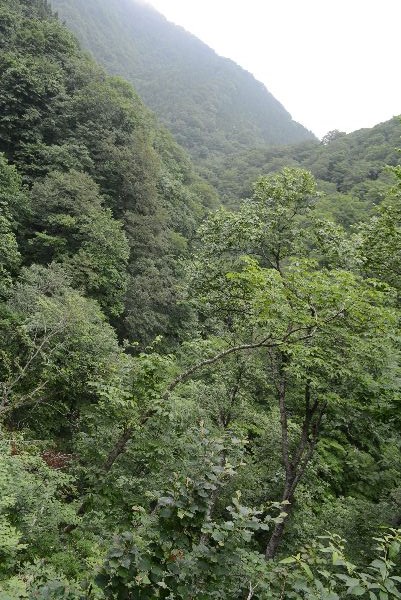 d0164783_1092514.jpg