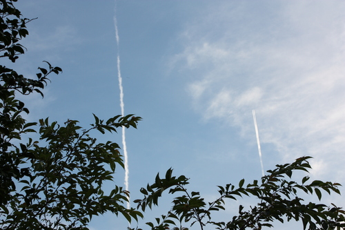 c0204385_014827.jpg