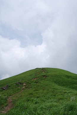 a0133886_17505716.jpg