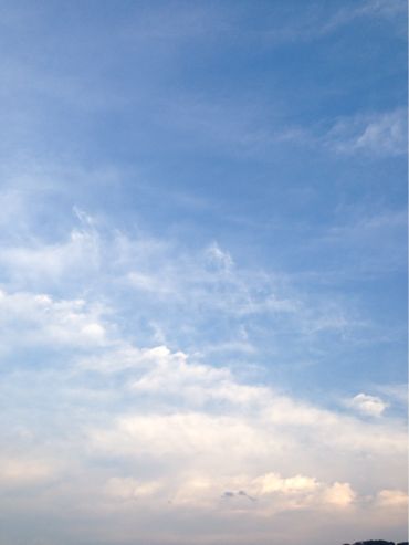 f0298891_2031773.jpg