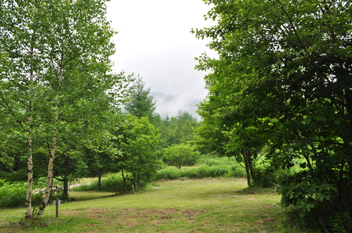 d0226492_120614.jpg