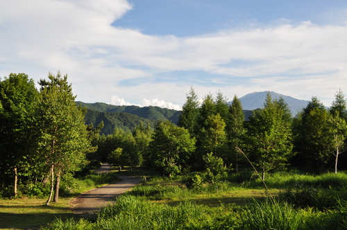 d0226492_1243598.jpg