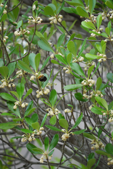 f0222692_940810.jpg