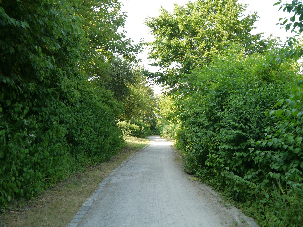 a0247194_2242427.jpg