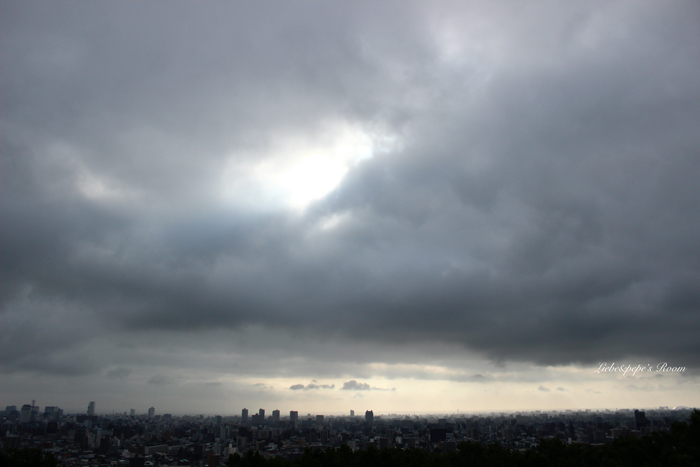 f0001895_1459413.jpg