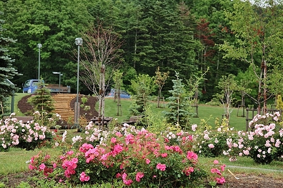 e0209997_21333041.jpg