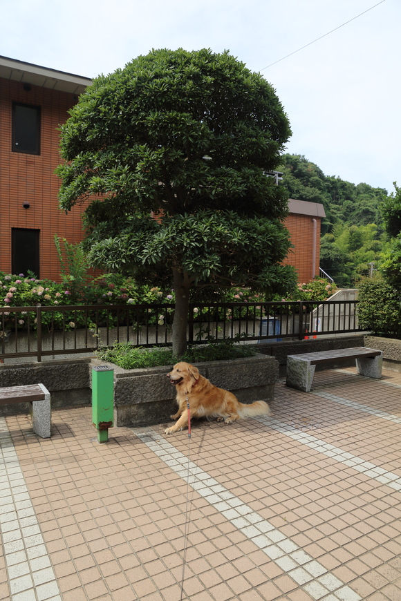 b0275998_12463375.jpg