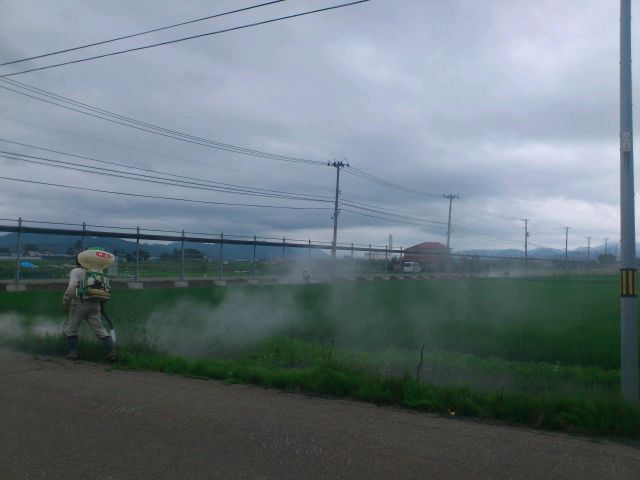 e0317698_21305129.jpg