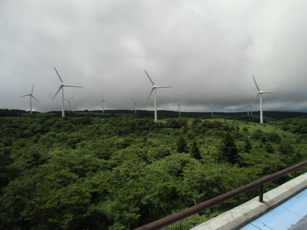 c0007502_1673794.jpg