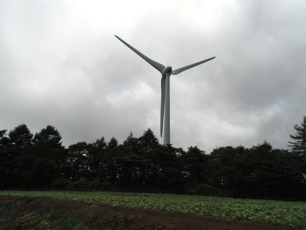 c0007502_1683257.jpg