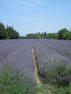 e0206902_2212754.jpg