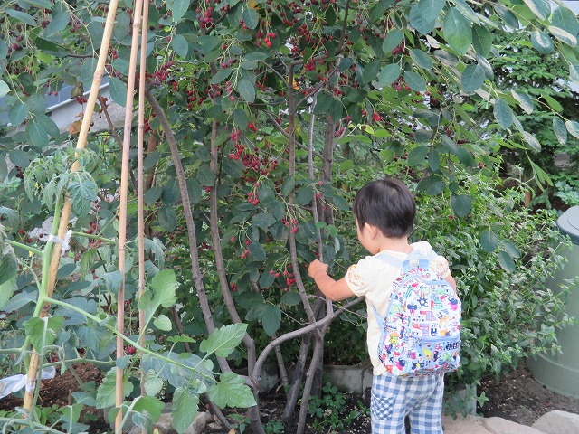 f0202703_22541033.jpg