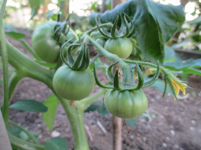 f0202703_22575944.jpg