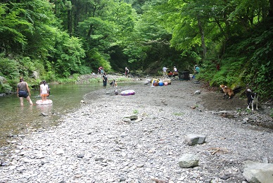 a0134004_16291873.jpg