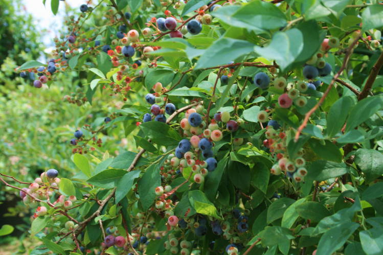 f0031304_7415254.jpg