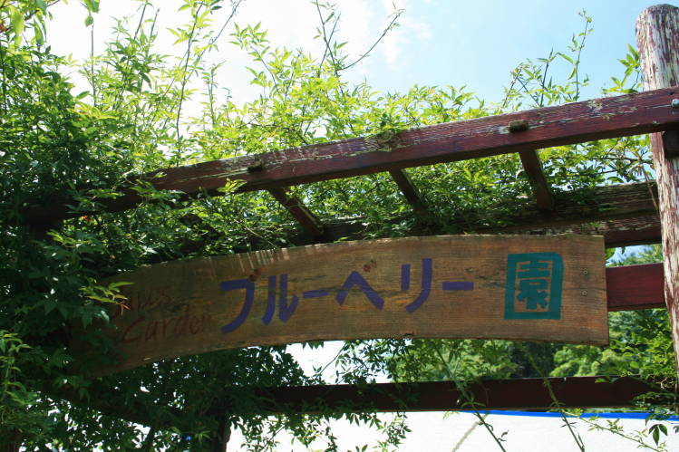 f0031304_7433260.jpg