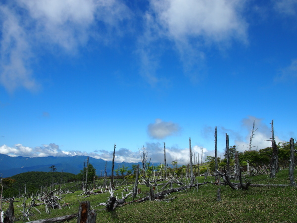 b0244811_22111362.jpg